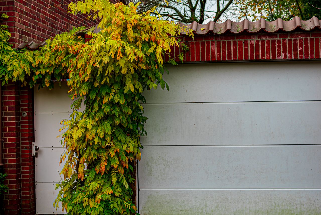 Garage door service in Middletown, NJ